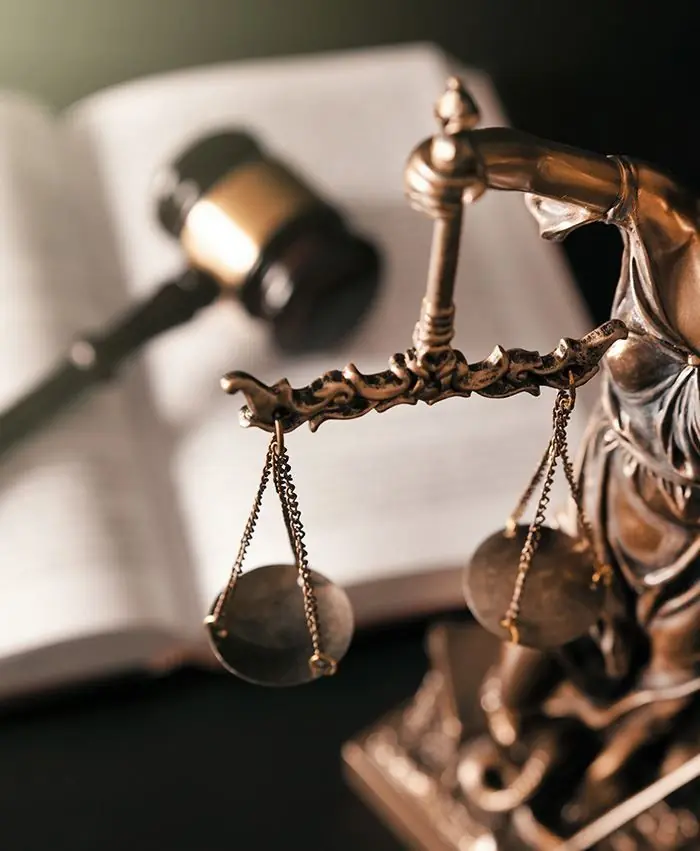 Lady Justice statue representing justice and legal services